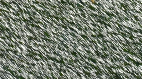 Waterfall, Pouring Water, Water Surface, texture Stock Footage 119323515