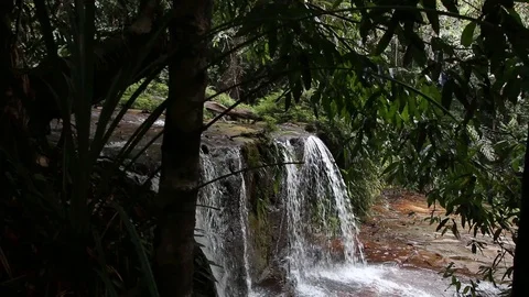 Waterfall in pristine Malaysian jungle Stock Footage 95349571
