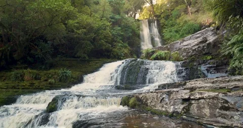 Waterfall in pristine native forest wilderness of New Zealand South Island Stock Footage 240367479