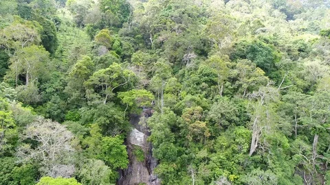 Waterfall Pull out reveal jungle Asia drone shot Aerial, 4K Stock Footage 96774907