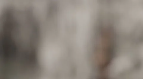 Waterfall Rack Focus 库存影片 61760526