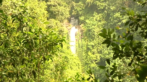 Waterfall in the rain forest in Bali Stock Footage 41380468