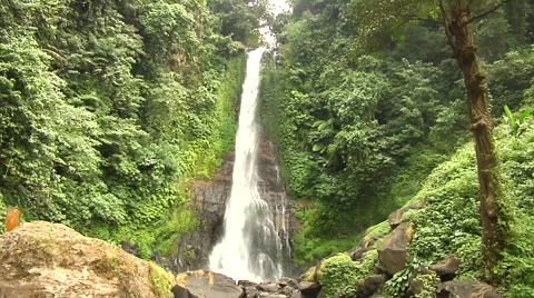 Waterfall in the rain forest in Bali Stock Footage 41380486