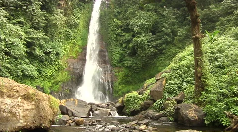 Waterfall in the rain forest in Bali Stock Footage 41380492