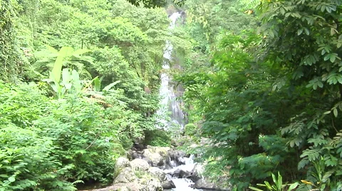 Waterfall in the rain forest in Bali Stock Footage 41380550
