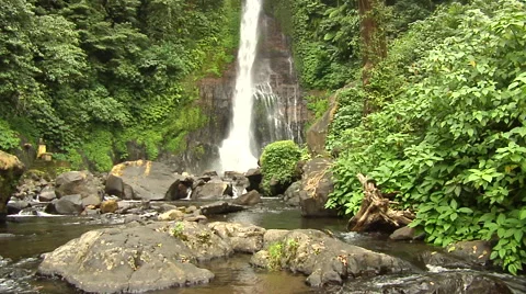 Waterfall in the rain forest in Bali Stock Footage 41380555