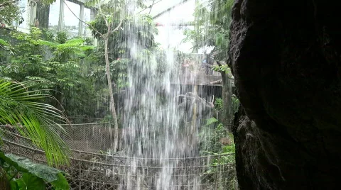 Waterfall in rain forest Video stock 517106