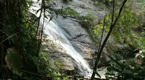 Waterfall in rain forest Stock Footage 664303