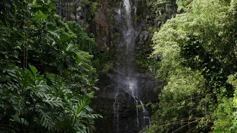 Waterfall in a rain forest Stockbeeldmateriaal 120484780