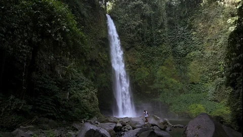 Waterfall in rain forest. Jungle on Bali, Indonesia. Stock Footage 126778747