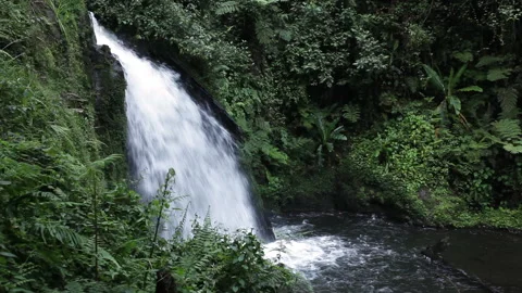 Waterfall in the rain forest on Mount Kenya Stock Footage 143025290