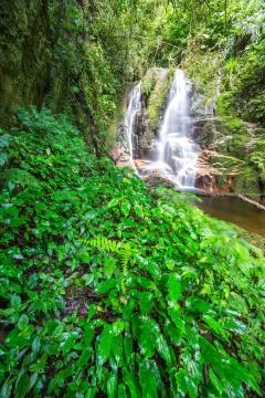 Waterfall in rain forest Stock Photos