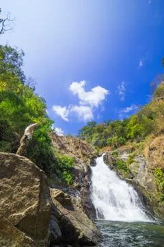 Waterfall in rain forest Stock Photos