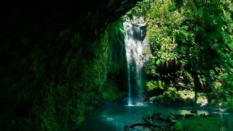 Waterfall in a rain forest. Stock Photos
