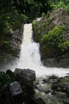 Waterfall in the rain forest Stock Photos