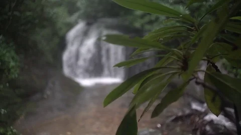 Waterfall in the rain mountain handheld rack focus mountain laurel 2 Stock Footage 76716803
