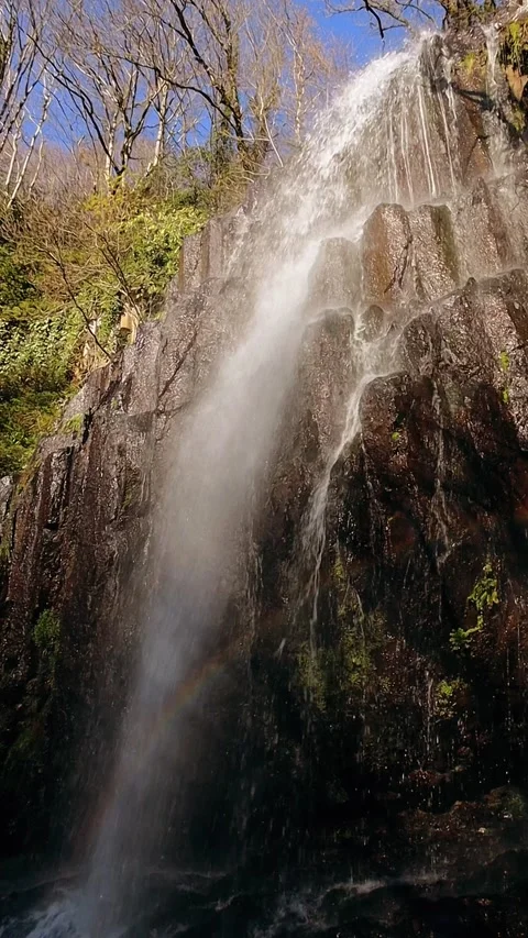 Waterfall with rainbow in the forest Stock Footage 236535939