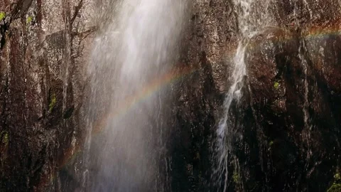 Waterfall with rainbow in the forest Stock Footage 236535972