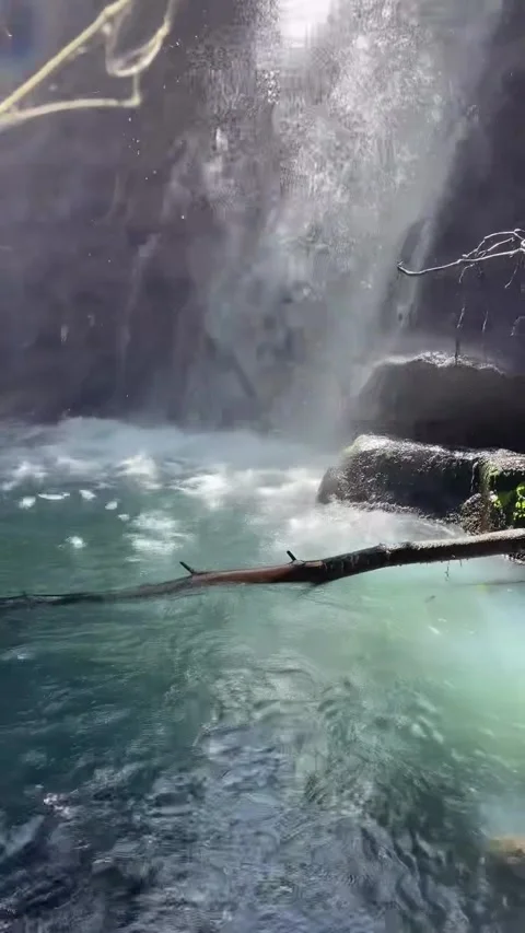 Waterfall with Rainbow in Lush Forest Pool Stock Footage 340868616