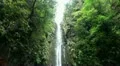 Waterfall in Rainforest 20110426 143850 HD Footage