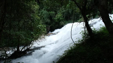 Waterfall in rainforest with clear water. Stream running fast  in rainy season. Stock Footage 252402732