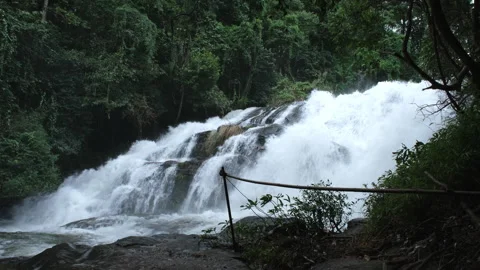 Waterfall in rainforest with clear water. Stream running fast  in rainy season. Stock Footage 252402898