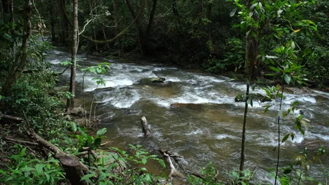 Waterfall in rainforest with clear water. Stream running fast  in rainy season. Stock Footage 252402926