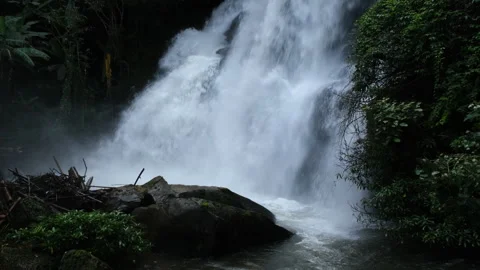 Waterfall in rainforest with clear water. Stream running fast  in rainy season. Stock Footage 252403080