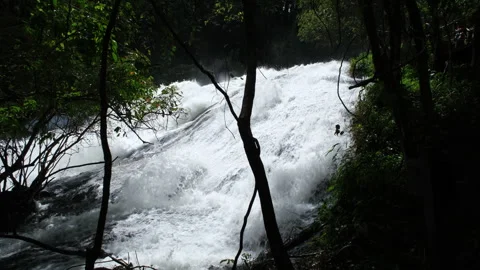 Waterfall in rainforest with clear water. Stream running fast  in rainy season. Stock Footage 252403095