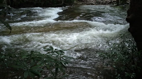 Waterfall in rainforest with clear water. Stream running fast  in rainy season. Stock Footage 252403102