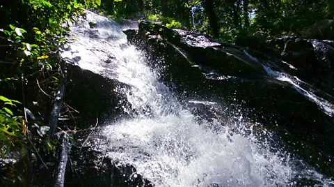 Waterfall in the rainforest close-up view  from below Video stock 33474082
