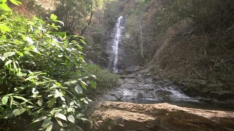 Waterfall in rainforest dolly shot Stock Footage 87985960