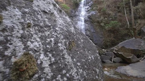 Waterfall in rainforest dolly shot Stock Footage 87987804
