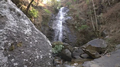 Waterfall in rainforest dolly shot Stock Footage 88003245