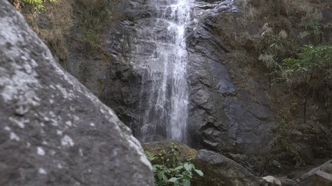 Waterfall in rainforest dolly shot Stock Footage 88003479