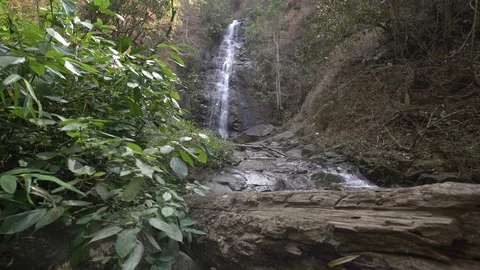 Waterfall in rainforest dolly shot Stock Footage 88015578