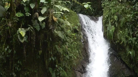 Waterfall in a rainforest in Ecuador Stock Footage
