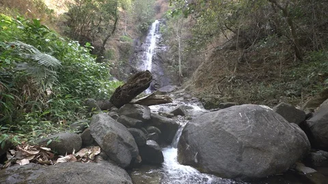 Waterfall in rainforest Stock Footage 88005891