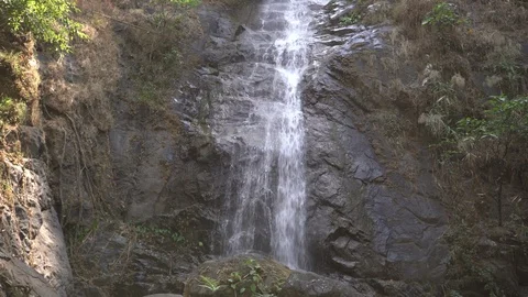Waterfall in rainforest Stock Footage 88006479