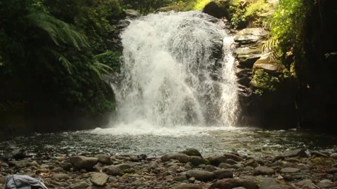 Waterfall in the rainforest HD Stock Footage 195971555