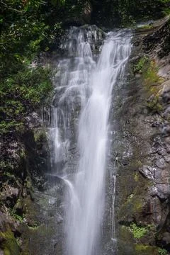Waterfall in the rainforest for a long exposure Stock Photos