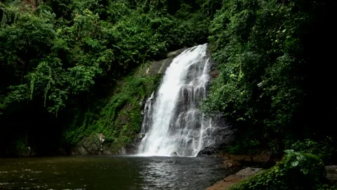 Waterfall in rainforest. Malaysia Stock Footage 314841937