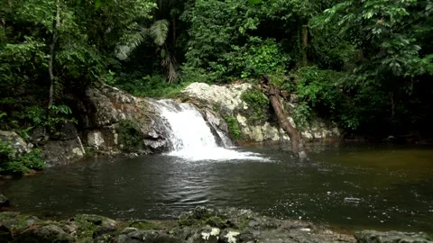 Waterfall in rainforest. Malaysia Stock Footage 314841962