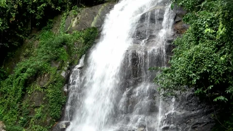 Waterfall in rainforest. Malaysia Stock Footage 314841967