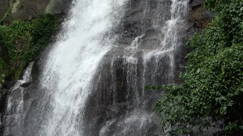 Waterfall in rainforest. Malaysia Stock Footage 314841972