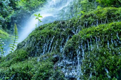 Waterfall in Rainforest Foto stock