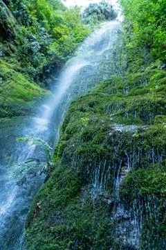 Waterfall in rainforest Fotos de archivo