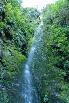 Waterfall in rainforest Fotos de archivo