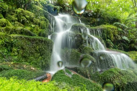 Waterfall in rainforest Fotos de archivo
