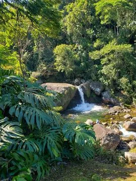 Waterfall in the rainforest Фото
